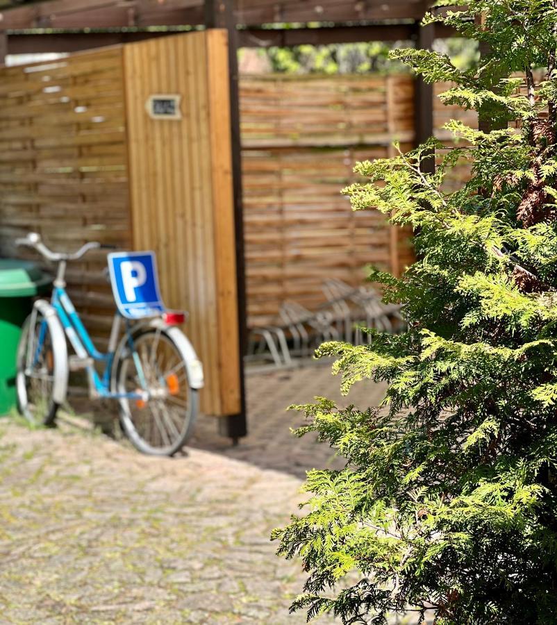Traditionsgasthaus Goldener Loewe Riesa Restaurant & Pension エクステリア 写真