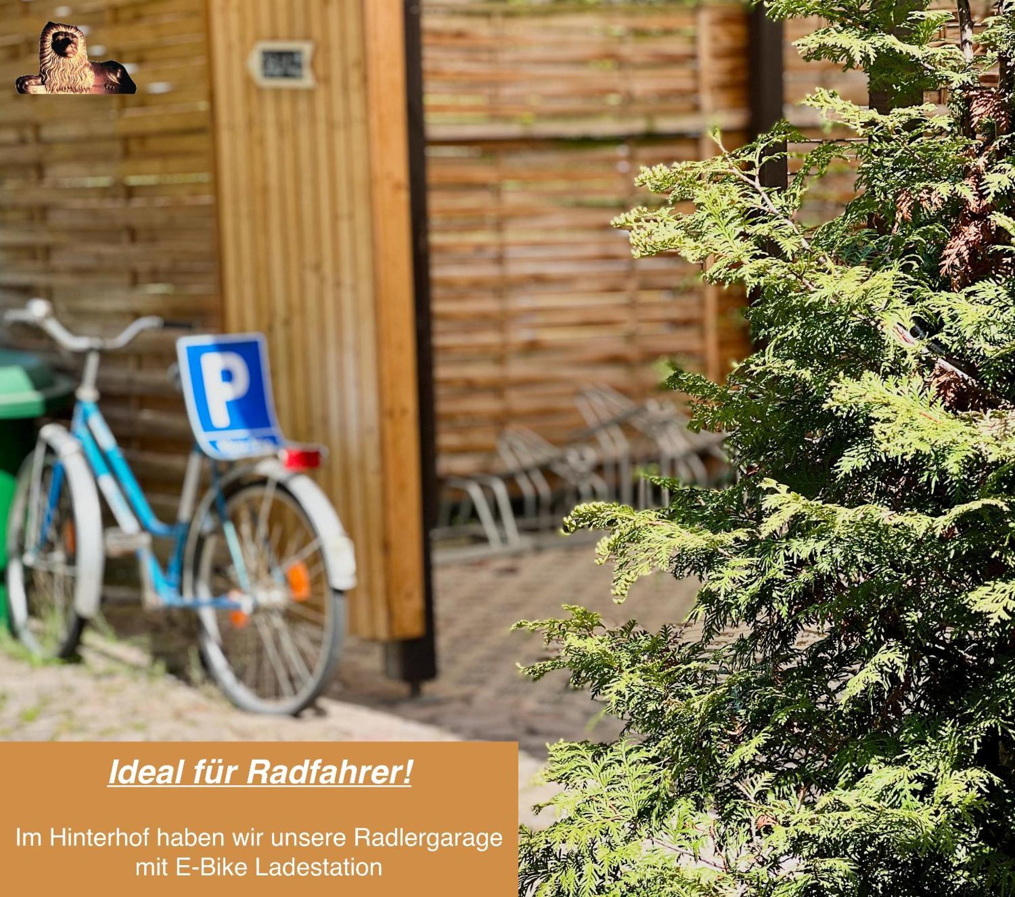 Traditionsgasthaus Goldener Loewe Riesa Restaurant & Pension エクステリア 写真
